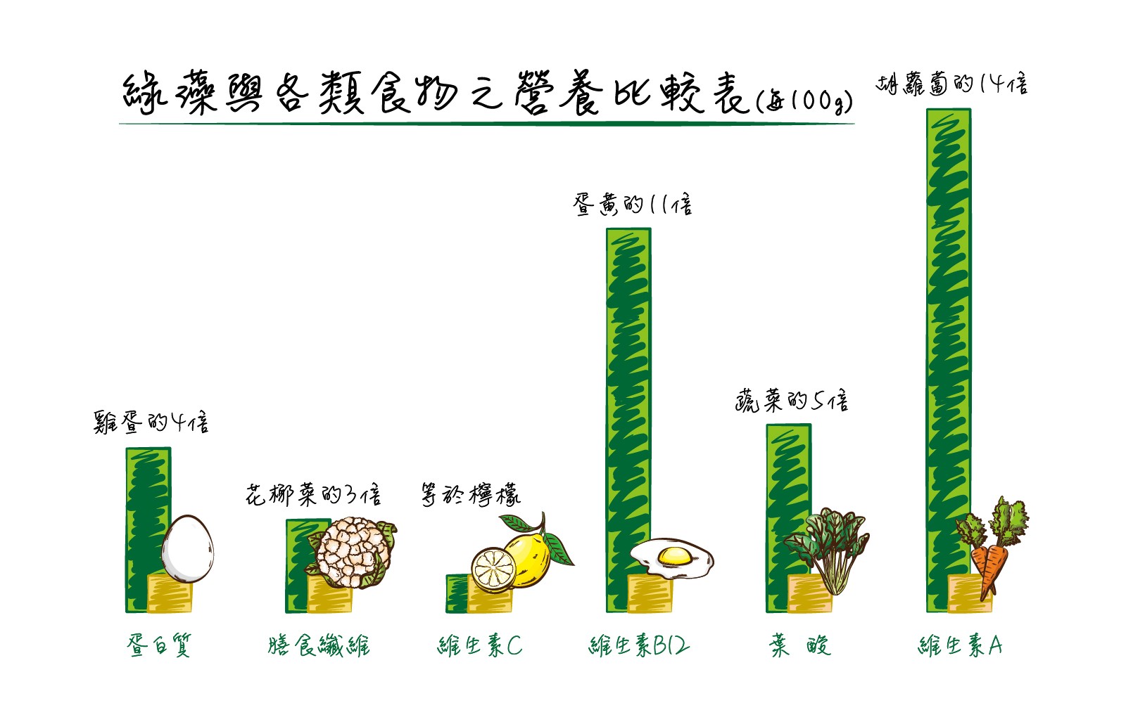 綠藻02